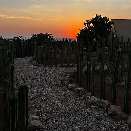 Hotel Coyote Alcocer エクステリア 写真